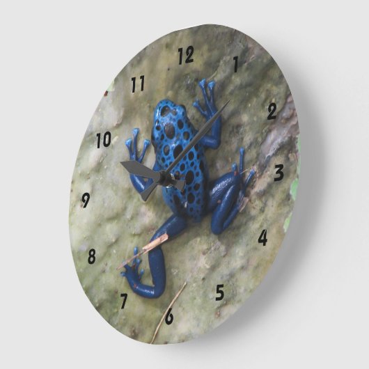 Blue Poison Dart Frog Grote Klok (Hoek)