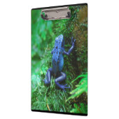 Blue Poison Dart Frog Klembord (Links)