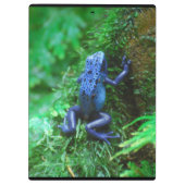 Blue Poison Dart Frog Klembord (Achterkant)
