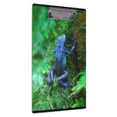 Blue Poison Dart Frog Klembord (Rechts)