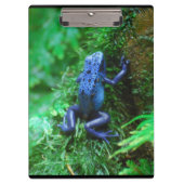 Blue Poison Dart Frog Klembord (Voorkant)