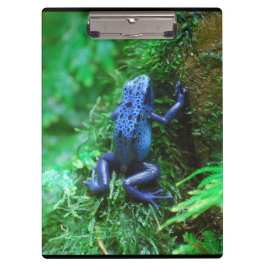 Blue Poison Dart Frog Klembord (Voorkant)