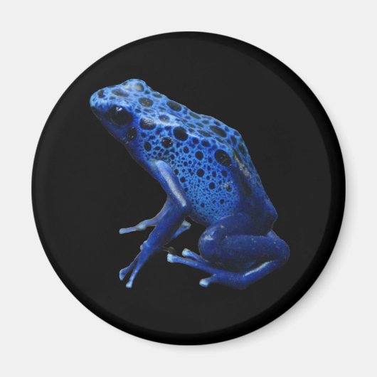 Blue Poison Dart Frog Magneet (Voorkant)