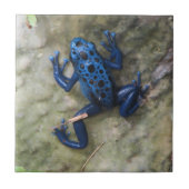Blue Poison Dart Frog Tegeltje (Voorkant)