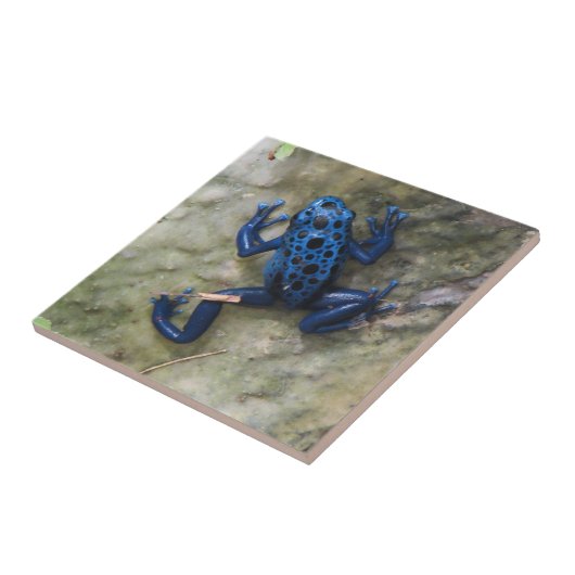 Blue Poison Dart Frog Tegeltje (Zijkant)