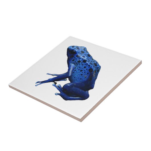 Blue Poison Dart Frog Tegeltje (Zijkant)