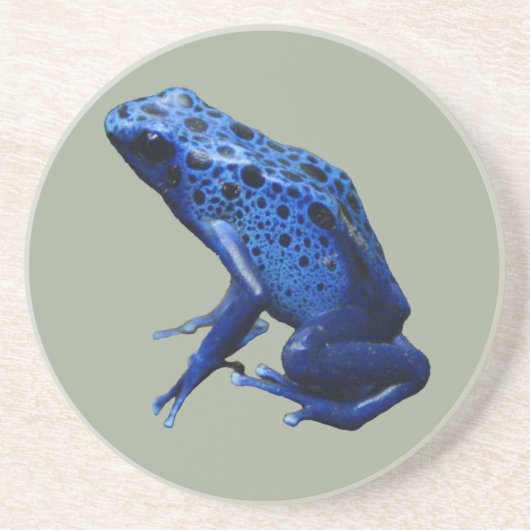 Blue Poison Dart Frog Zandsteen Onderzetter (Voorkant)
