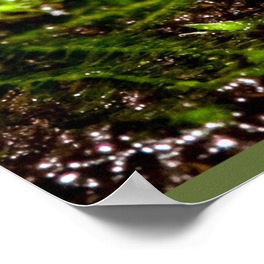 Blue Poisonous Dart Frog Poster (Hoek)