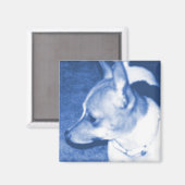 Blue Pop Art Chihuahua Magnet (Voorkant / Achterkant)