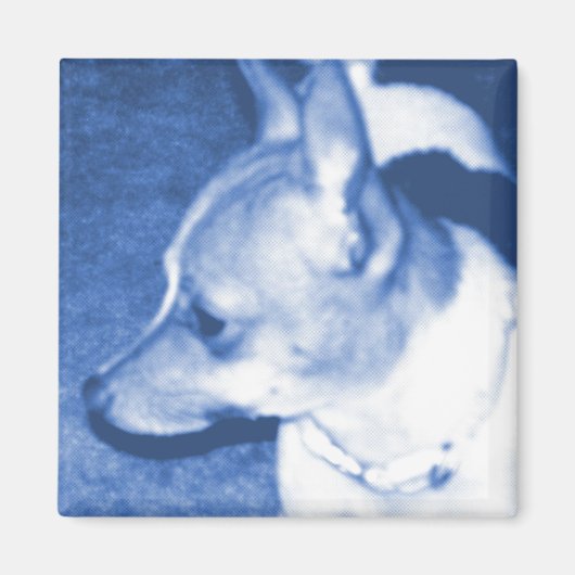 Blue Pop Art Chihuahua Magnet (Voorkant)