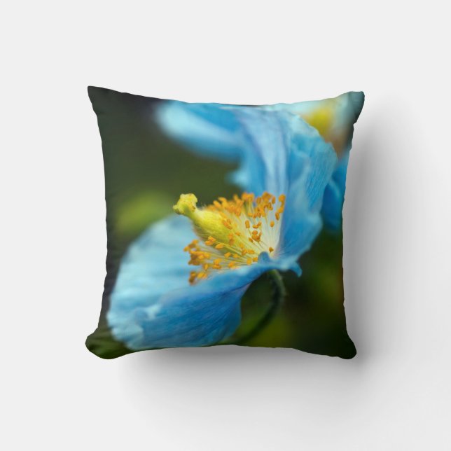 Blue Poppy flower kussen (Voorkant)