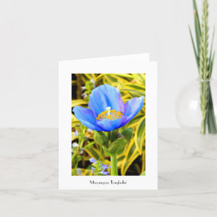 Blue Poppy Folded Note Card Kaart