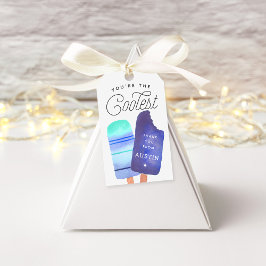 Blue Popsicle Birthday Party Bedankt voor je steun Cadeaulabel