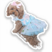 Blue Princess Chiffon: Cute Maltipoo Puppy  Sticker (Voorkant)