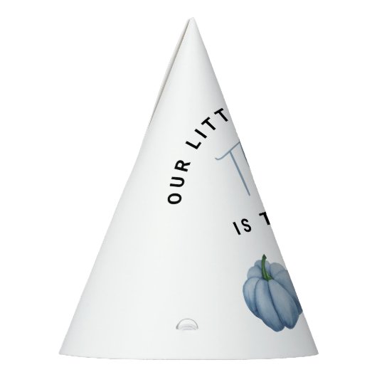 Blue Pumpkin 1st Birthday Party Feesthoedjes (Links)