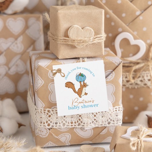 Blue Pumpkin en Eekhoorn Baby Boy Baby shower Bedankjes Labels