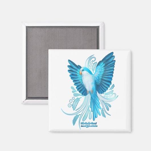 Blue Quaker Parrot Magneet (Voorkant / Achterkant)