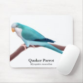 Blue Quaker Parrot Mousepad Muismat (Met muis)