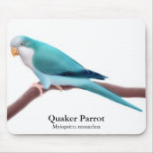 Blue Quaker Parrot Mousepad Muismat (Voorkant)