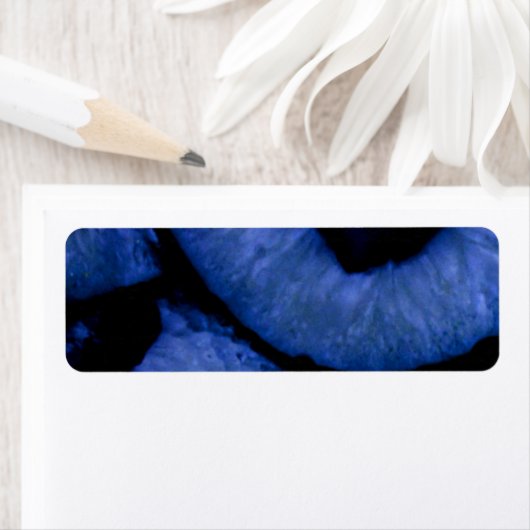 Blue Quartz Agate Geodes Etiket (Insitu)