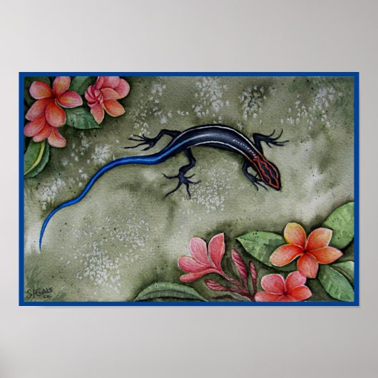 Blue Racer Skink Poster (Voorkant)