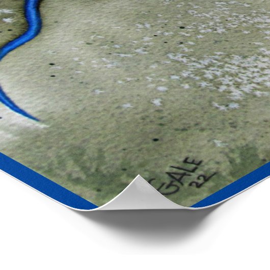 Blue Racer Skink Poster (Hoek)