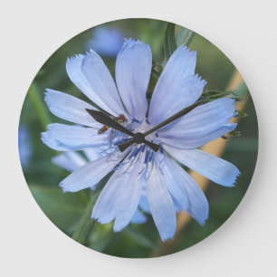 Blue Radicchio Flower N Bee Wall klok
