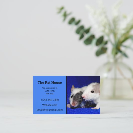 Blue Rat Breeder Rattery Visitekaartje (Staand voorkant)