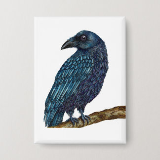 Blue Raven vogel badge Button