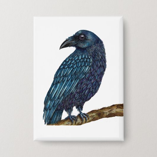 Blue Raven vogel badge Button (Voorkant)