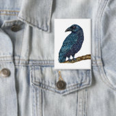 Blue Raven vogel badge Button (Insitu)