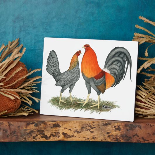 Blue Red Gamefowl Fotoplaat (Zijkant)