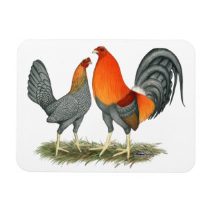 Blue Red Gamefowl Magneet
