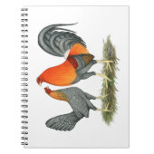 Blue Red Gamefowl Notitieboek (Voorkant)