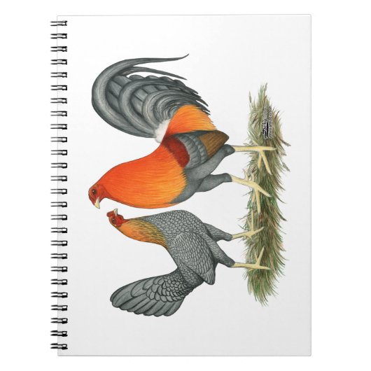 Blue Red Gamefowl Notitieboek (Voorkant)