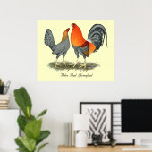 Blue Red Gamefowl Poster (Thuiskantoor)