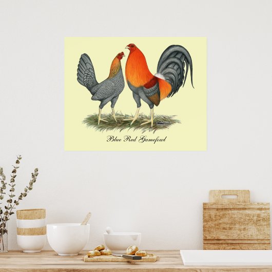Blue Red Gamefowl Poster (Keuken)