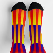 Blue Red Yellow Striped Pattern Sokken (Top)