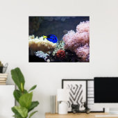 Blue Regal Tang Poster (Thuiskantoor)