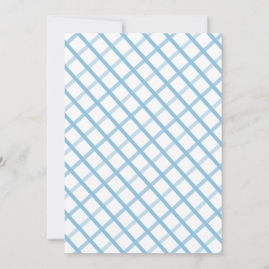 Blue Ribbon Bow Waterverf Gingham Baby Boy (Achterkant)