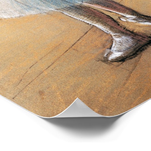 Blue Ribbon Dancer, Edgar Degas Poster (Hoek)