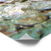 Blue Ribbon Tail Stingray Poster (Hoek)