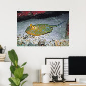 Blue Ribbon Tail Stingray Poster (Thuiskantoor)