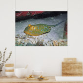 Blue Ribbon Tail Stingray Poster (Keuken)