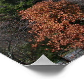 Blue Ridge, Fotografie van Ellenetta Marshall2006 Poster (Hoek)