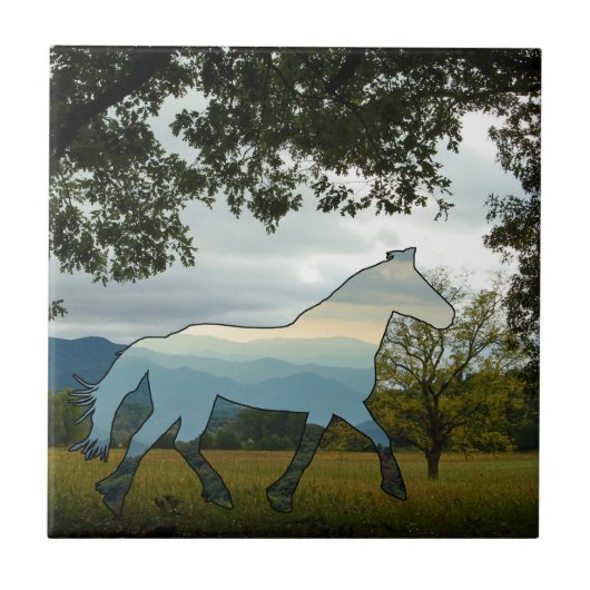 Blue Ridge Horse Tegeltje (Voorkant)