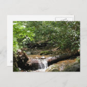 Blue Ridge Mountain Creek Briefkaart (Voorkant / Achterkant)