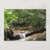 Blue Ridge Mountain Creek Briefkaart (Voorkant)