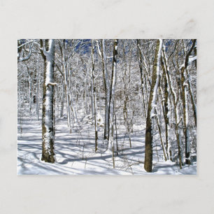 Blue Ridge Mountain Magic onder een Winterpel Briefkaart