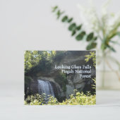 Blue Ridge Mountains Looking Glass Herfsten NC Briefkaart (Staand voorkant)